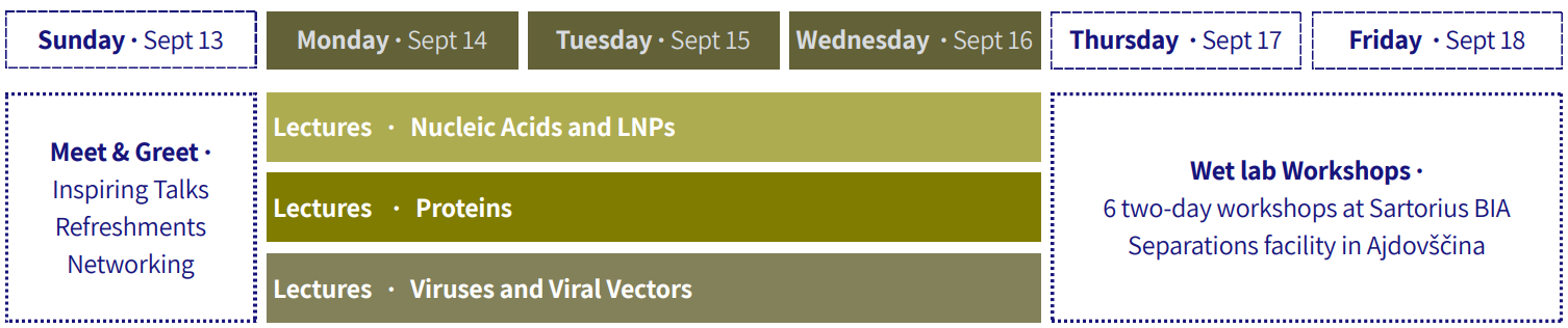 MSS2026 Program Overview