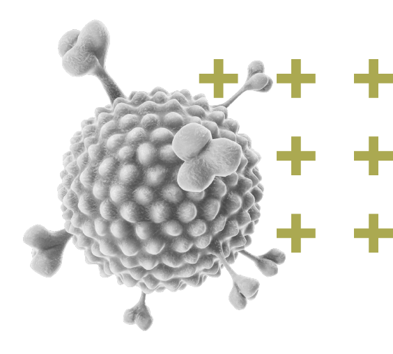 Register for MSS2026