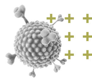 Register for MSS2026